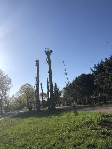 Villa Erika Wicko  Exteriör bild
